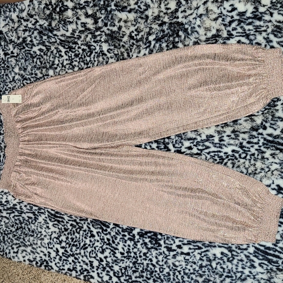 GILLIAN SHIMMER JOGGERS BY SATURDAY/SUNDAY ANTHROPOLOGIE PINK/ROSE SIZE XS NWT - Picture 3 of 16